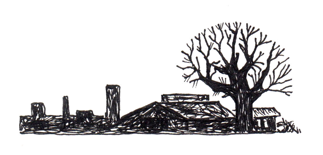 Black and White Illustration III